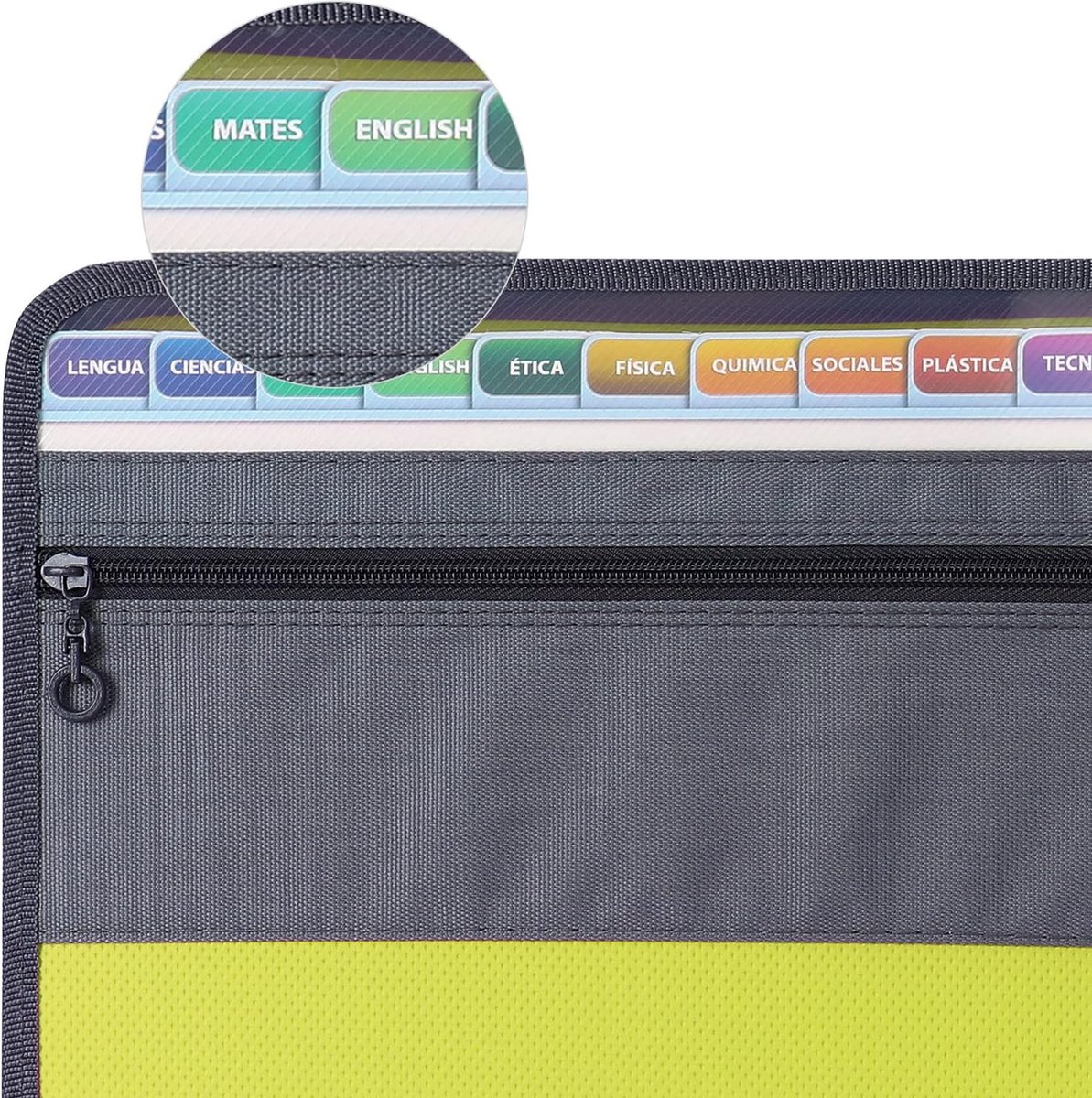 Project Folder - A4 - Foldable File Folder with Tabs - 13 Compartments - Storage Folder/Sorting Folder - Compartment Folder - Durable Plastic Document Folder — image 5
