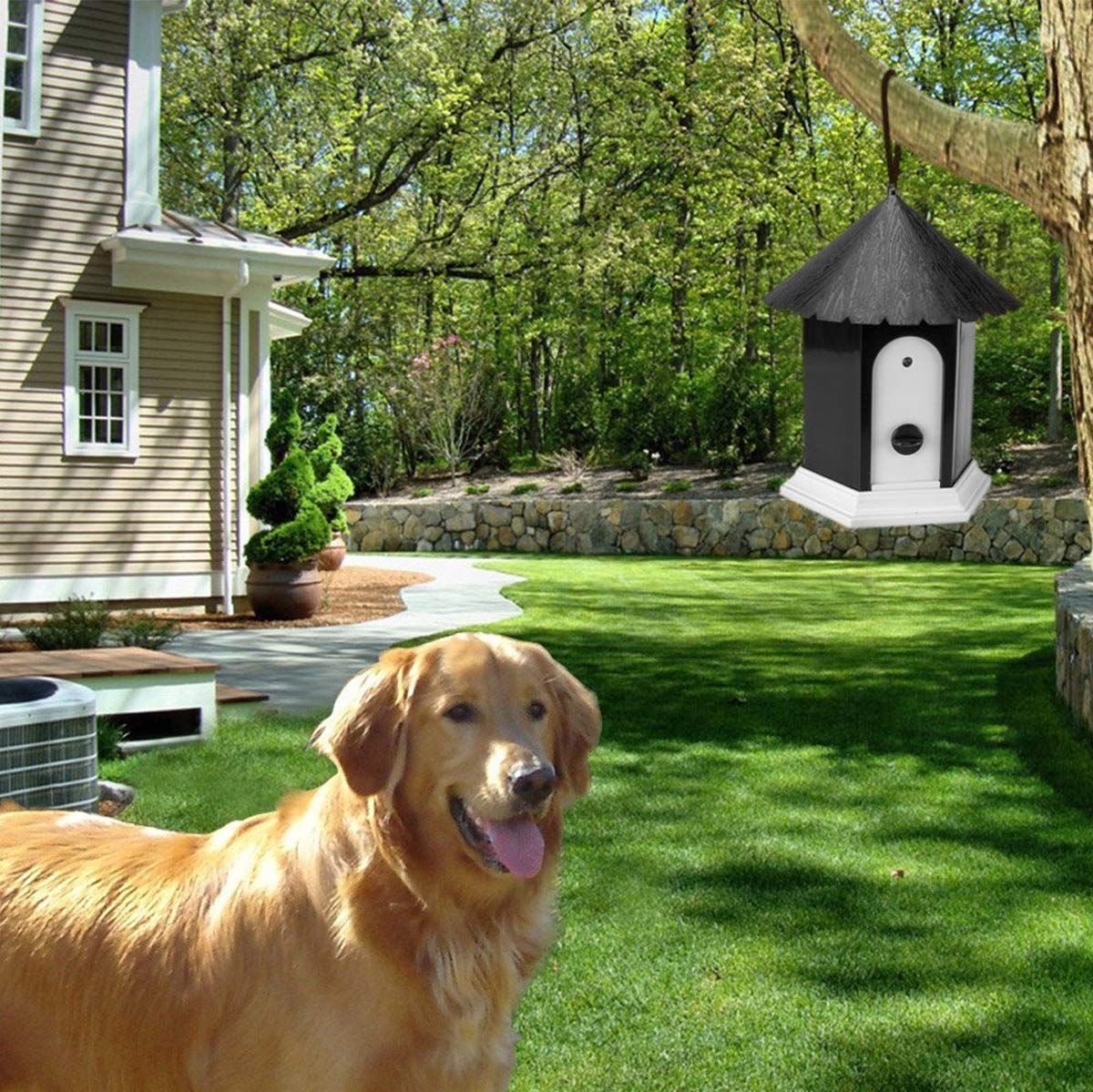 Bark Box Dog Barking Control Devices — image 3