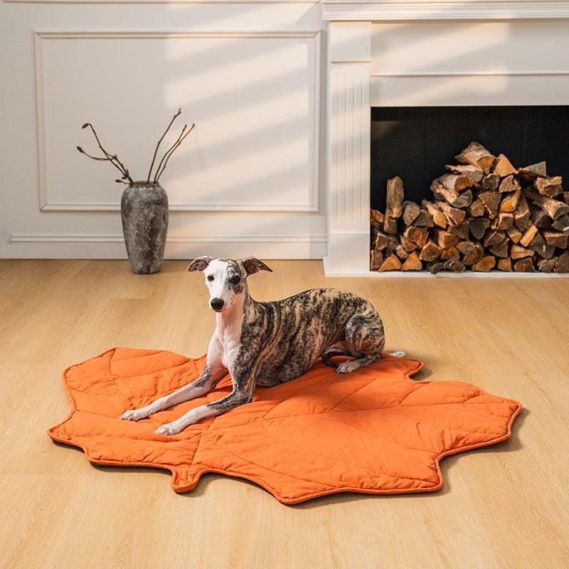 Leaf-Shaped Multi-Functional Pet Mat – Plush, Thick, and All-Season Comfort for Your Cat or Dog, Crate Cushion, Sofa Protector, or Cozy