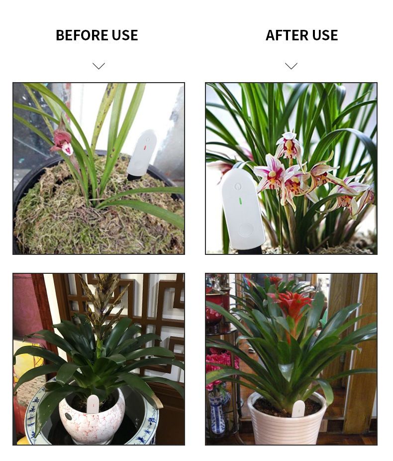 Soil Tester Humidimetre Meter Detector Garden Plant Flower Testing Tool Flowers Gardening Measurement Detectors — image 2
