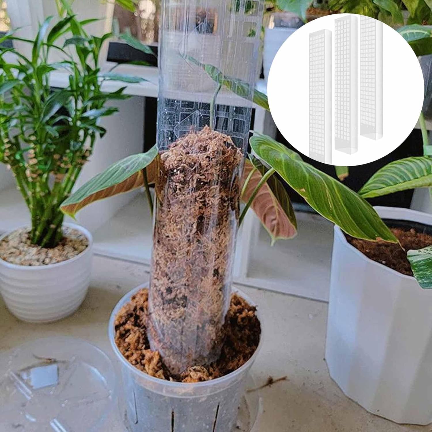 6 Pcs 24 Inch Plastic Moss Pole for Plants Monstera, Stackable for Indoor Work with Sphagnum Support Structure to Help Plants Grow Upwar โ image 5