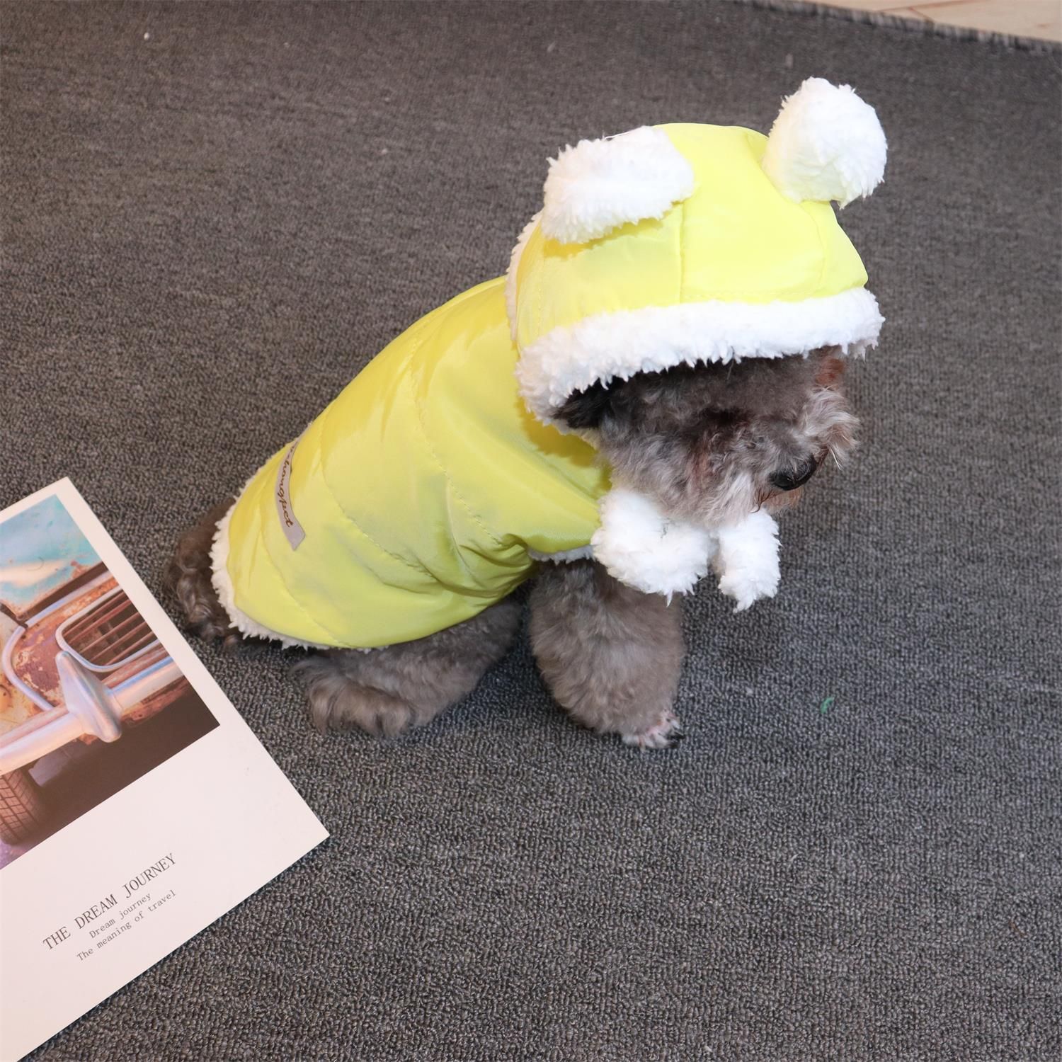 Pet Clothing Two Legged Clothes Odd Pet Thickened Warm cream suit yellow XXL