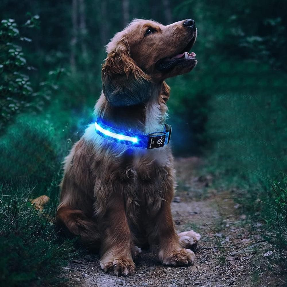 Luminous LED Pet Dog Collar Light-up USB Rechargeable Dog Collar Blue - M โ image 2