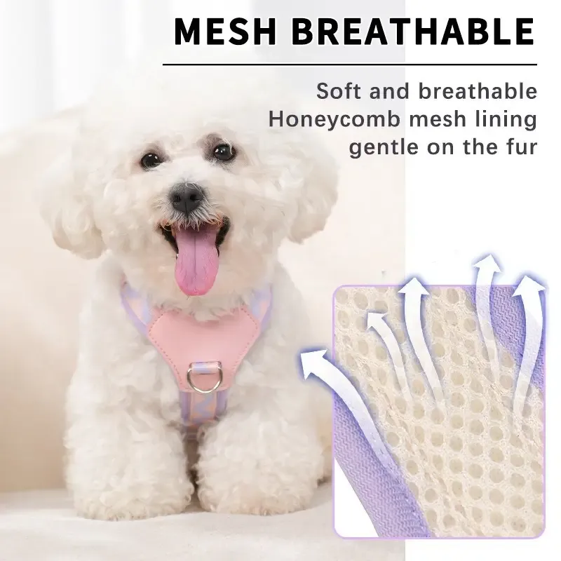Y-Shaped Anti-Pull Pet Harness + Leash Set: Breathable Mesh, Adjustable, No Neck Choking, Makes Walking Easier โ image 4