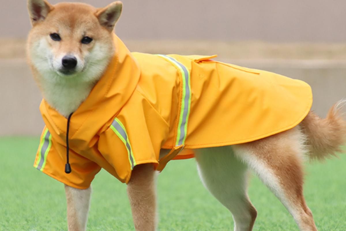 Pet Raincoat Outdoor Waterproof Dog Poncho for Small and Medium Dogs - Yellow โ image 2