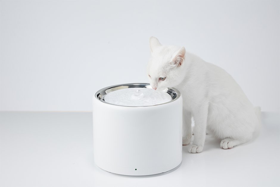 PETKIT Eversweet 3 Pro- Wireless Smart Drinking Fountain- 1.8L โ image 5