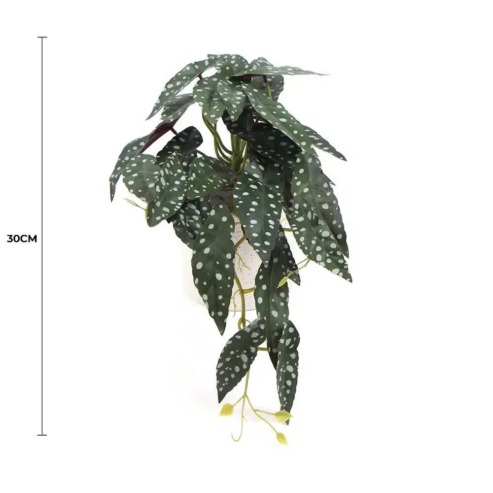 Artificial Begonia Maculata Plant In Decorative Bowl 30cm โ image 2