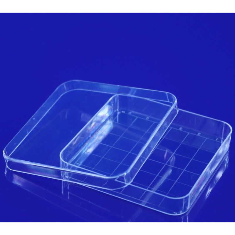 10pcs transparent Rectangular Plastic Petri Dish 100mmx100mm Pipettes for Culturing Cells and Other Scientific — image 4