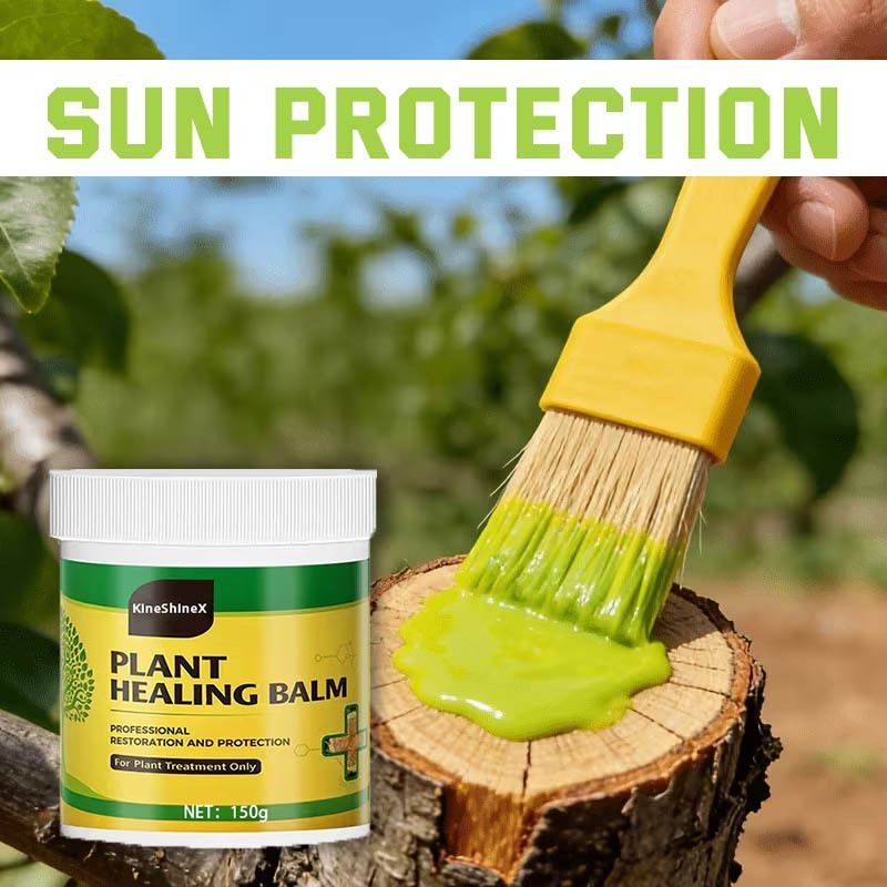 3Pack Tree Wound Sealer & Dressing, 150g Tree Pruning Sealer for Cut, Damaged Bark, Grafting – Effective Tree Repair Sealant for Shrub, Bonsai, Rose, Orchard — image 5