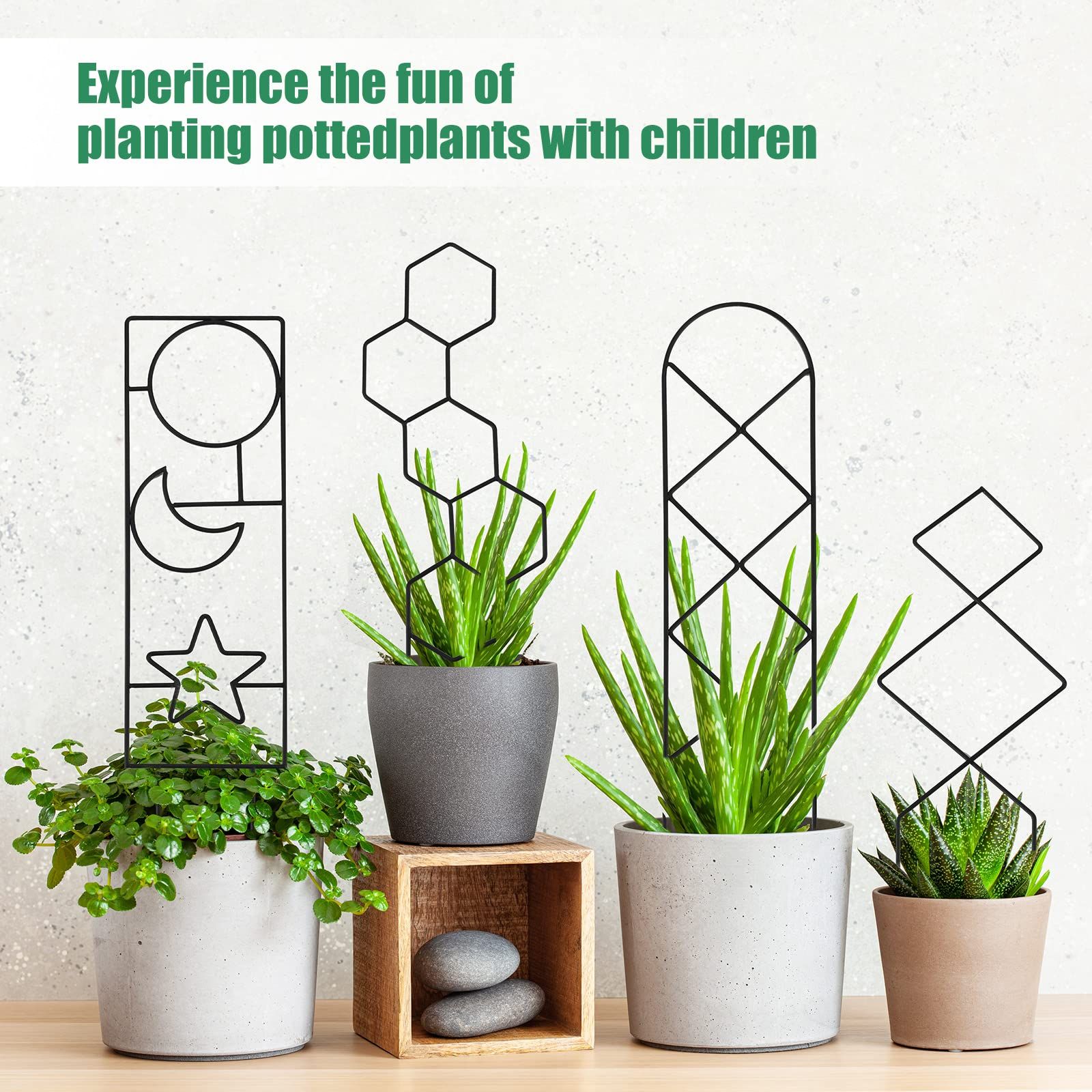 Plant Trellis for Climbing Plants Indoor, 15.94Inch Small Garden Metal Houseplant Trellis for Potted Plants Outdoor 4 Patterns — image 4