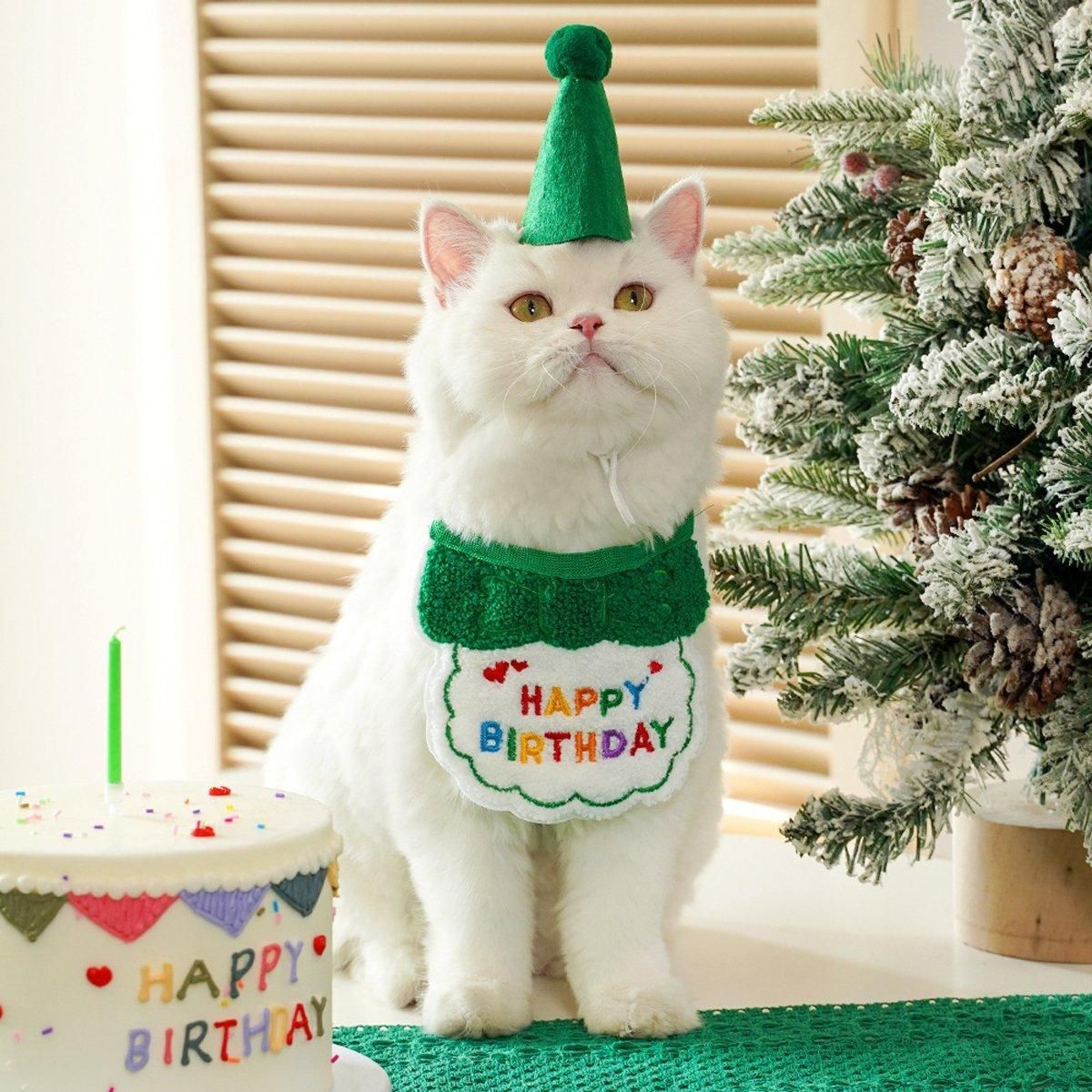Pet Birthday Dog Cat Bib Scarf Hat Accessory Dogs Cats Celebration - Green — image 6