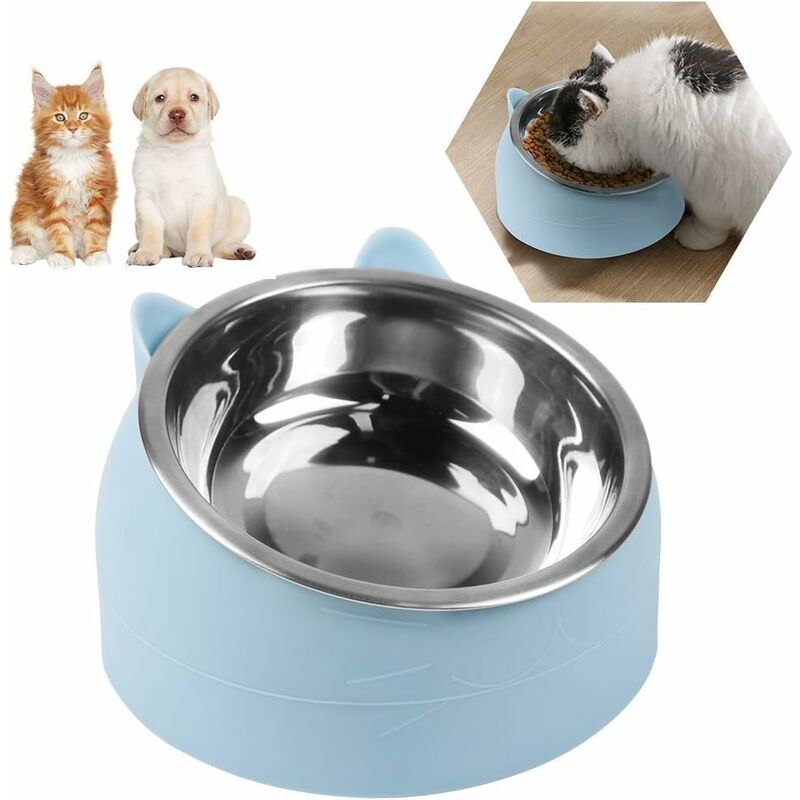 Raised And Tilted Cat Bowl
