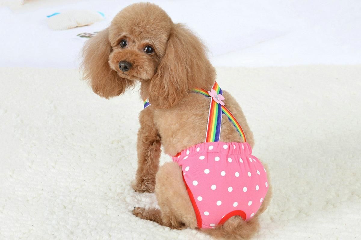 Cute Harness Female Dog Sanitary Pants Reusable Menstrual Diaper-Pink L โ image 4