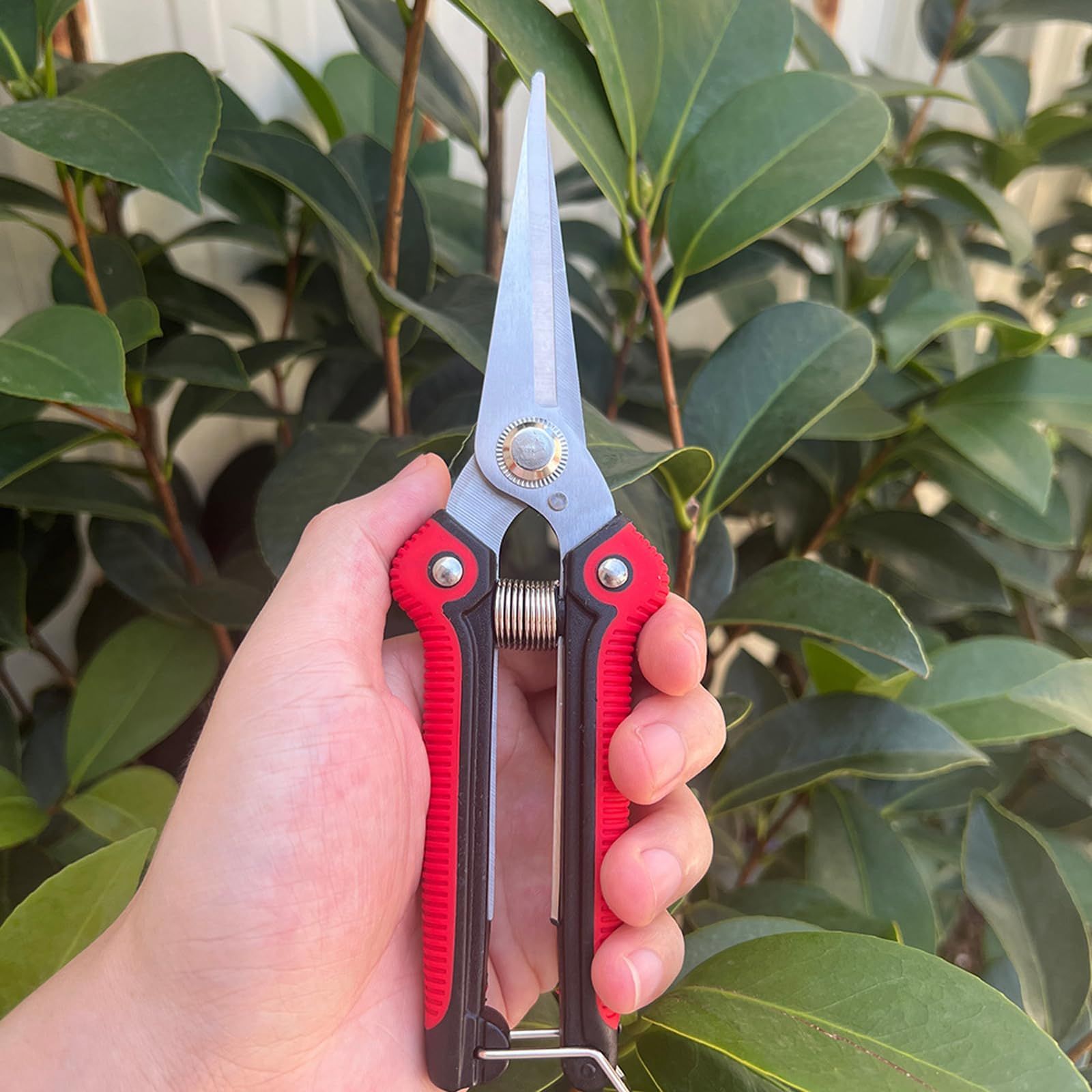Straight Pruning Shears Gardening Scissors Hand Pruner Pruning Shear Garden Shears Multi-Tasking Garden Snips For (Red) — image 3