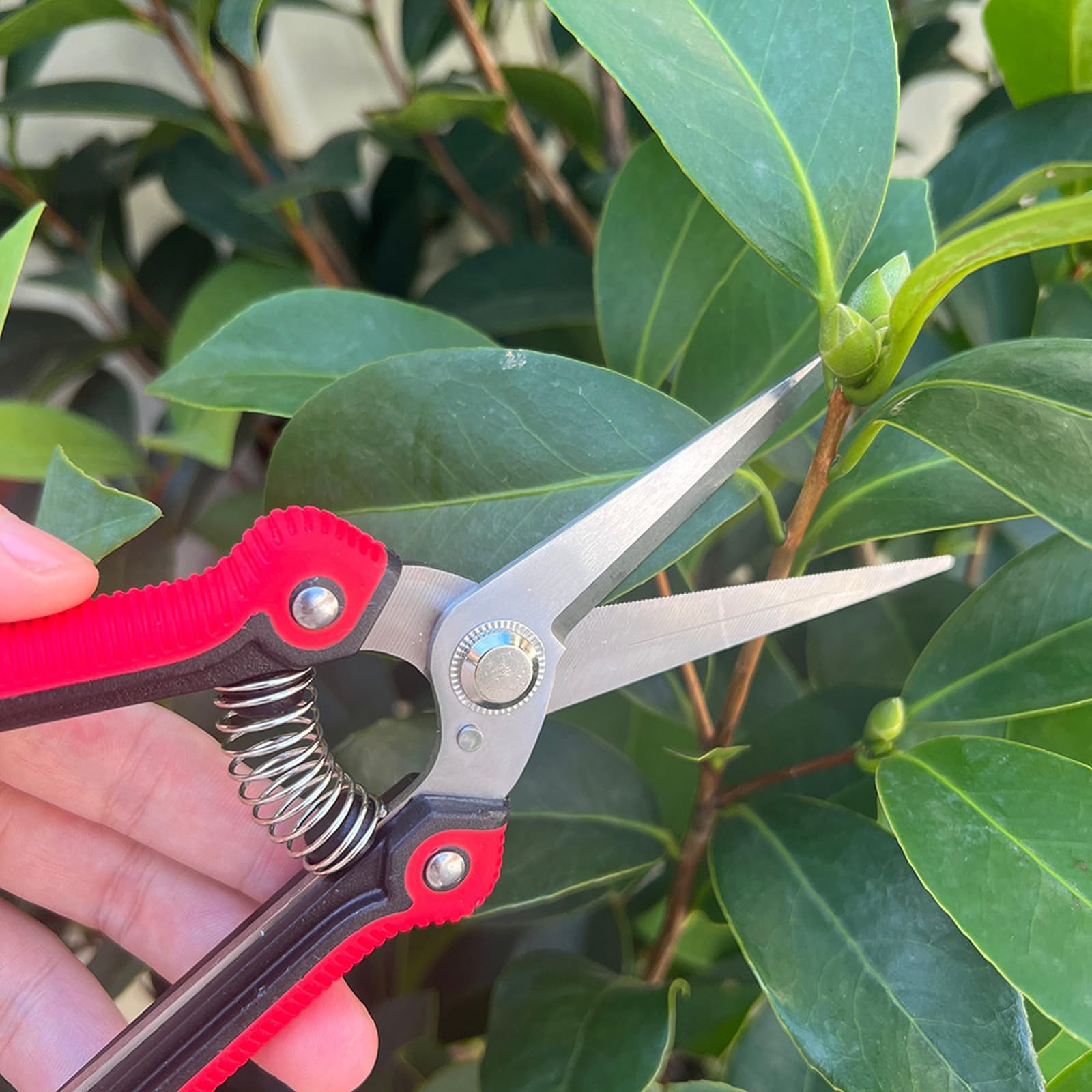 Straight Pruning Shears Gardening Scissors Hand Pruner Pruning Shear Garden Shears Multi-Tasking Garden Snips For (Red) — image 2