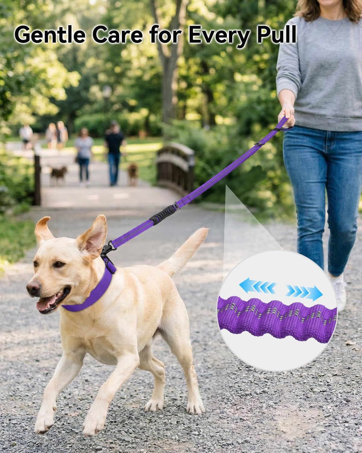 Bungee Dog Leash with Frog Snap Hook - Heavy Duty Elastic Training Lead for Medium Large Dogs - Shock Absorbing Anti-Pull Walking Leash - Purple — image 2