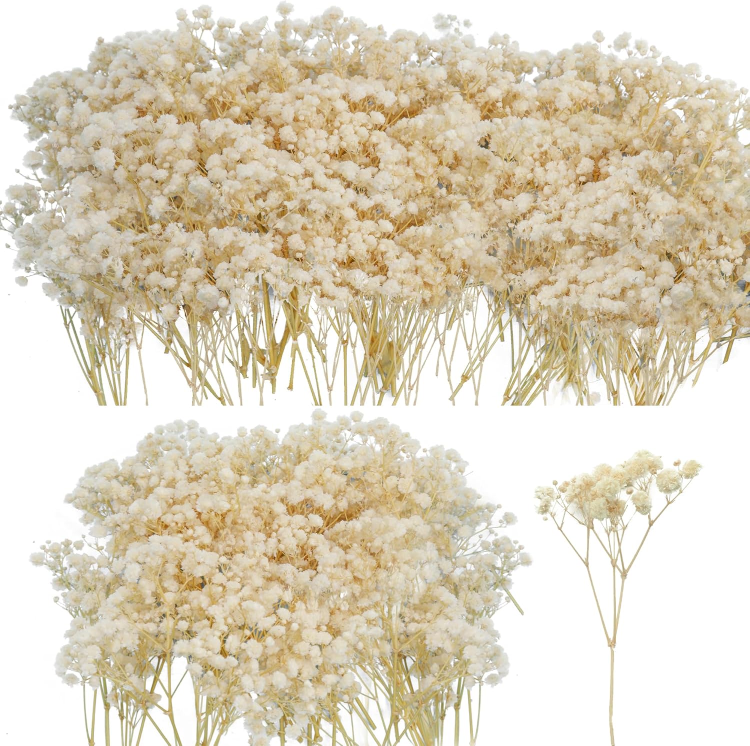 50Pcs Mini Dried Baby's Breath Flowers, 6'' Natural Ivory White Flowers for Resin Art Craft DIY, 3000+ Pressed Gypsophila Bouquet Present for Valentine's Day