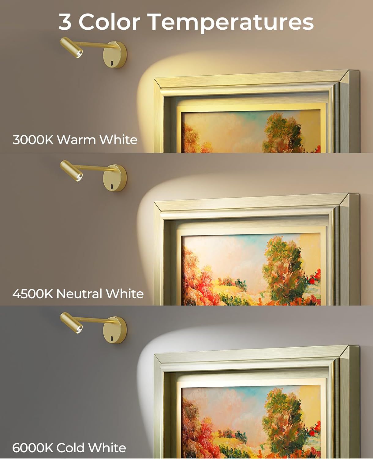 Picture Light for Wall, Battery Operated Art Light for Paintings CCT Dimmable Recharging Gallery Battery Wall Light with Remote Control for Living Room Gallery โ image 5