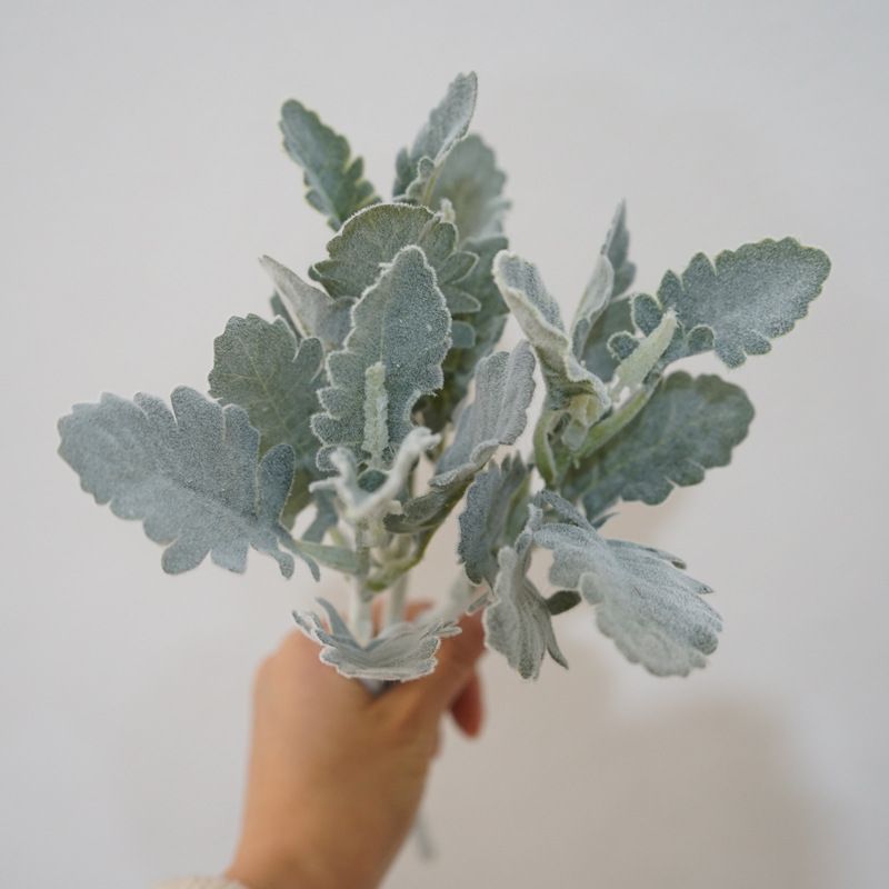 4pcs,Ins Grey Simulation Plant Silver Leaf Chrysanthemum Plush Sheep Horn Leaf Home Decoration Ornament Versatile — image 3