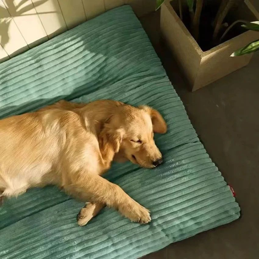 Luxuriously Soft and Thick Pet Sleeping Mat, Removable Washable Cover with Waterproof Non-Slip Base — image 5