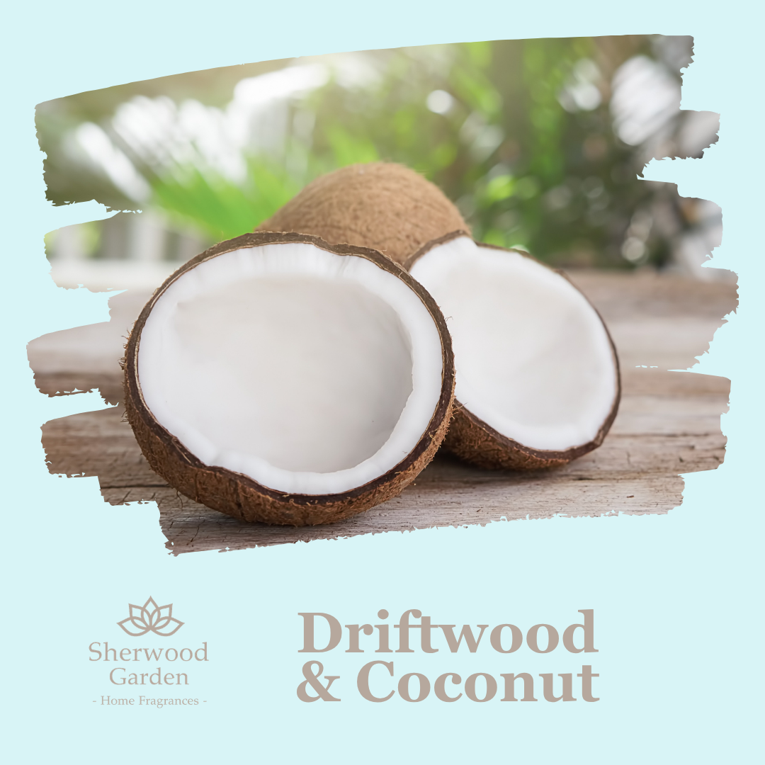 Driftwood & Coconut Soy Candle Tin 165g — image 2