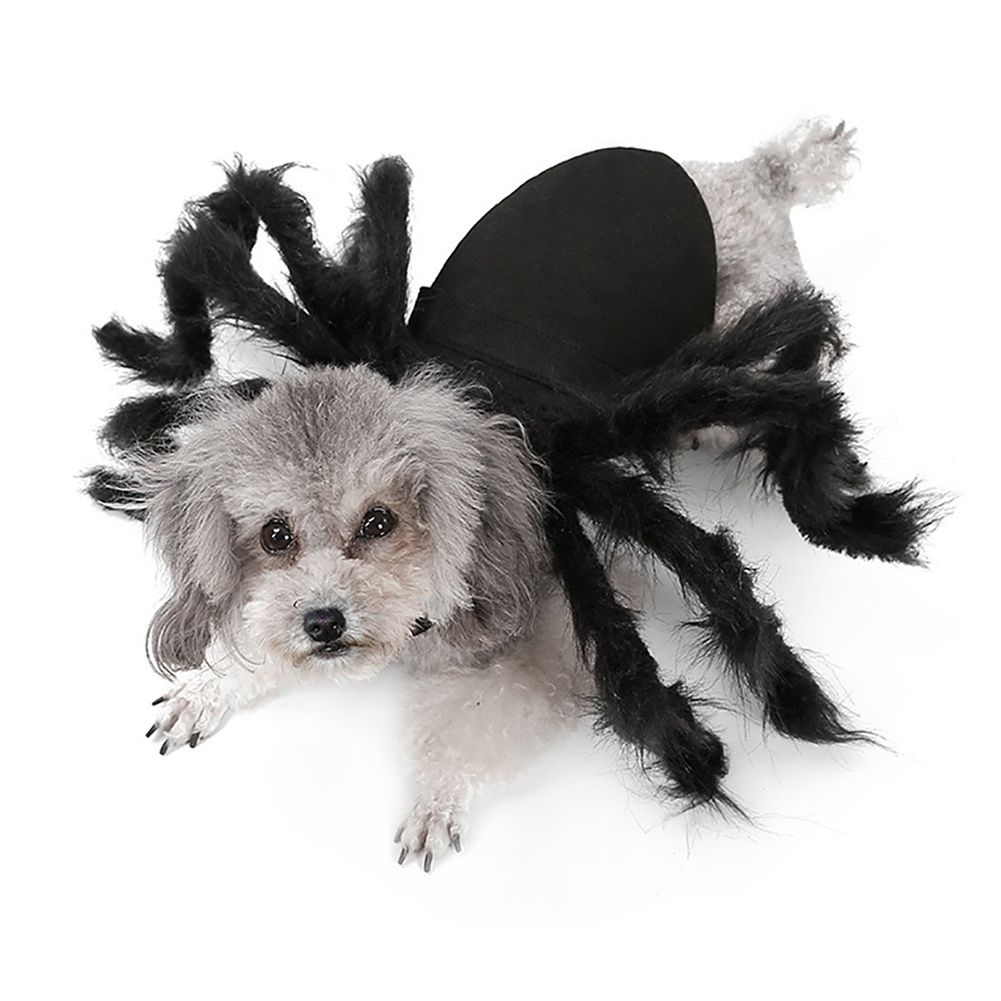 Pet Spider Costume Halloween Pet Spider Clothes Dog Cat Horror Simulation Plush Spiders Dress Up Costume — image 4