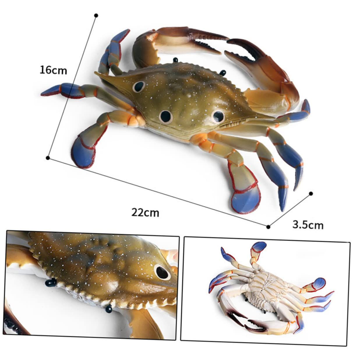 1 Piece Marine Ornament Sea Animal Model Crab Swimming Toy Ornament Models Marine Animal Ornament Ocean Crab Decorations — image 4