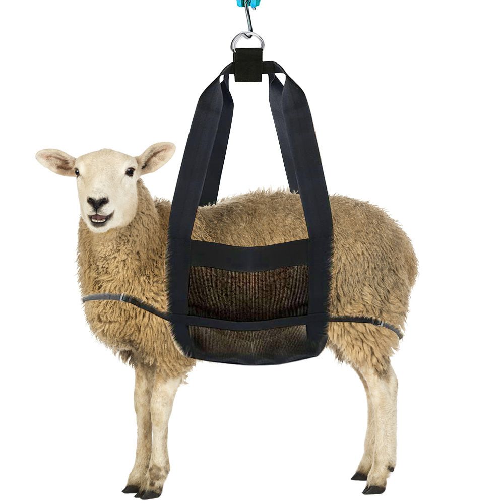 Calf Sling for Weighing Animals, Lamb Scale Hanging Weight Scale Sling with D-Ring Adjustable for Weighing Lamb Baby Alpaca