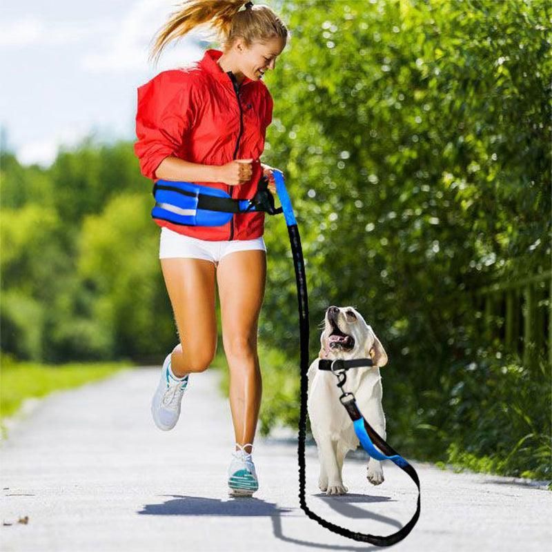 Hands Free Dog Leash Adjustable Lead with Waist Belt Bag for Walking Jogging Running - Black+Grey — image 5