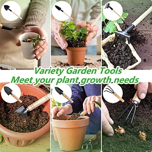 Small Garden Tool Set, 6 Pieces Iron Gardening Kit Including Hand Shovel, Transplant Shovel and Hand Rake with Wood Non-Slip Handle Perfect for Plant Lovers — image 4