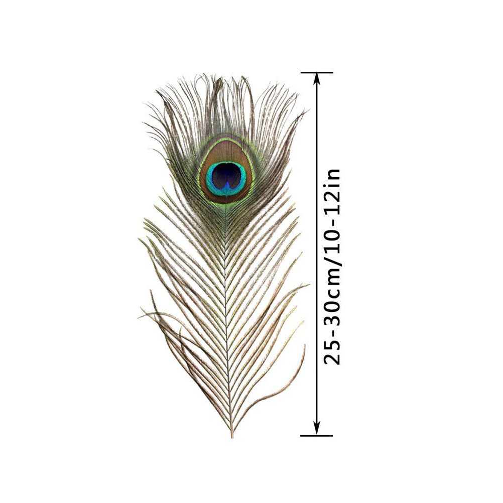 10PCS Natural Peacock Feather for House DIY Craft Holiday Wedding Decorations — image 2