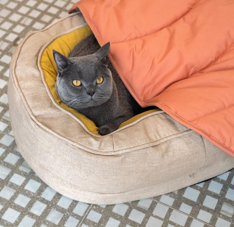 Leaf-Shaped Multi-Functional Pet Mat – Plush, Thick, and All-Season Comfort for Your Cat or Dog, Crate Cushion, Sofa Protector, or Cozy — image 4
