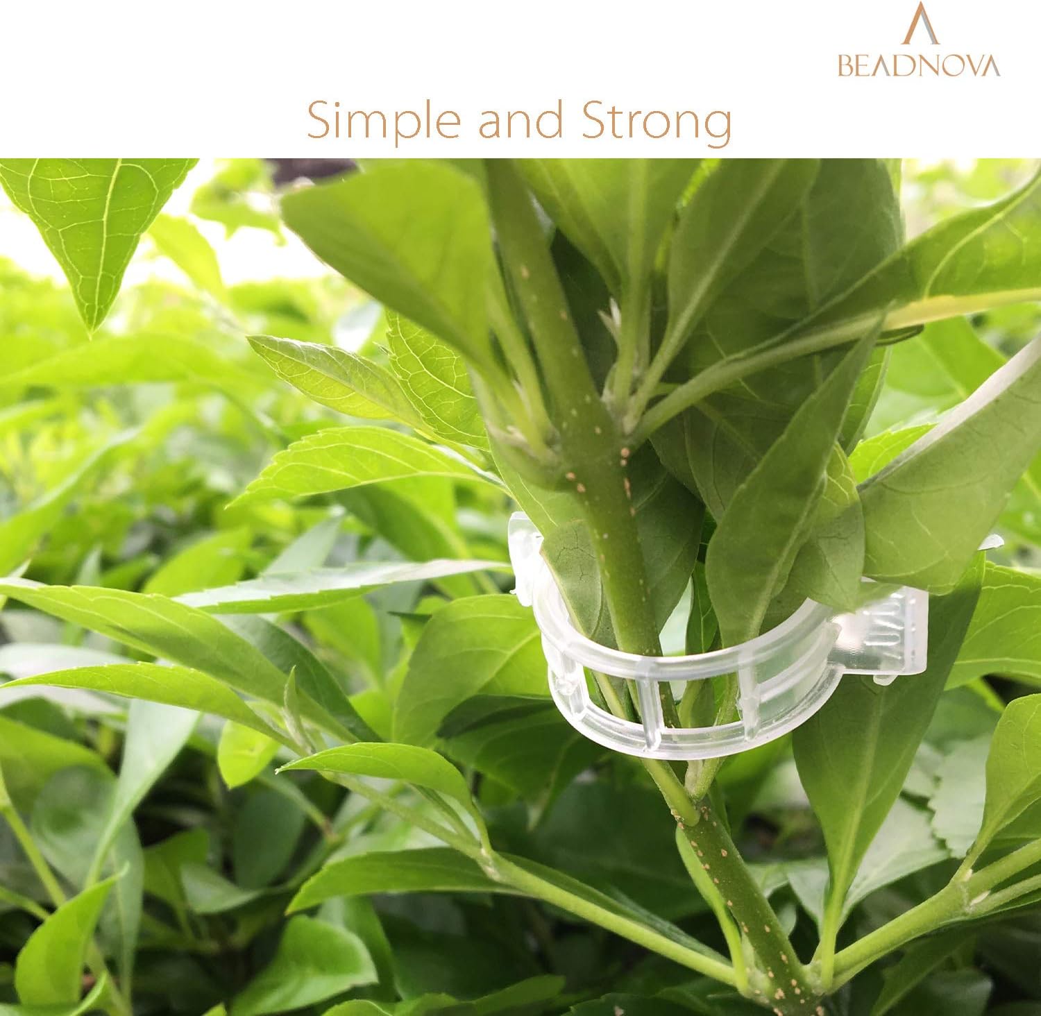 150Pcs Tomato Clips Plant Clips Garden Clips Vine Clips Tomato Trellis Clips for Tomato Vine Vegetable (150PCS) — image 4