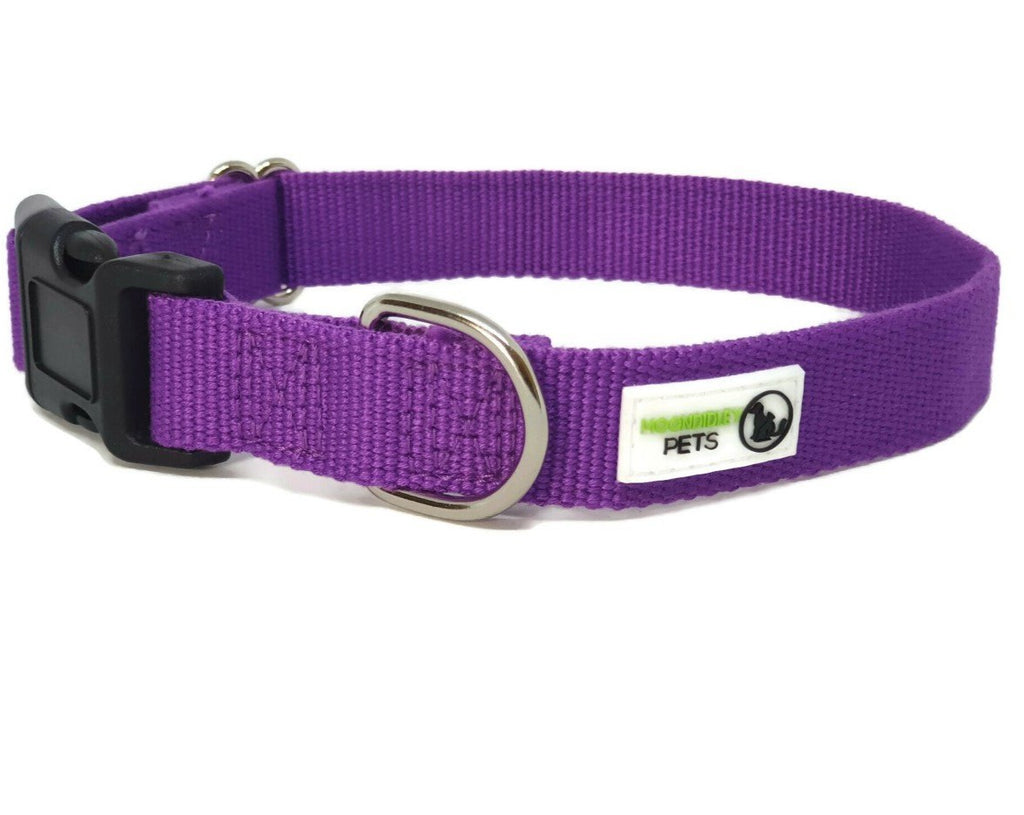 100% Pure Bamboo Fibre Dog Collar Plastic Buckle - Moondidley Pets Medium Purple — image 2