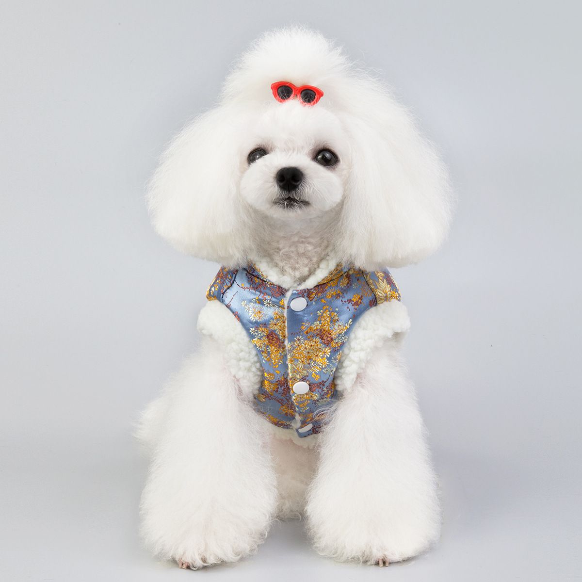 Dogbaby Pet Sweatshirt Cotton Casual Winter Blue — image 4