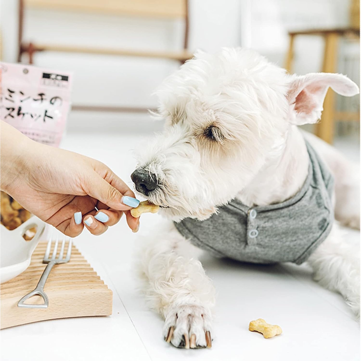 Dog treats Cutters Set 6 Pieces Dog Cookie Cutter sets Different Sizes Mini Small Medium Big Cut Out for Homemade Treats and Baking — image 3
