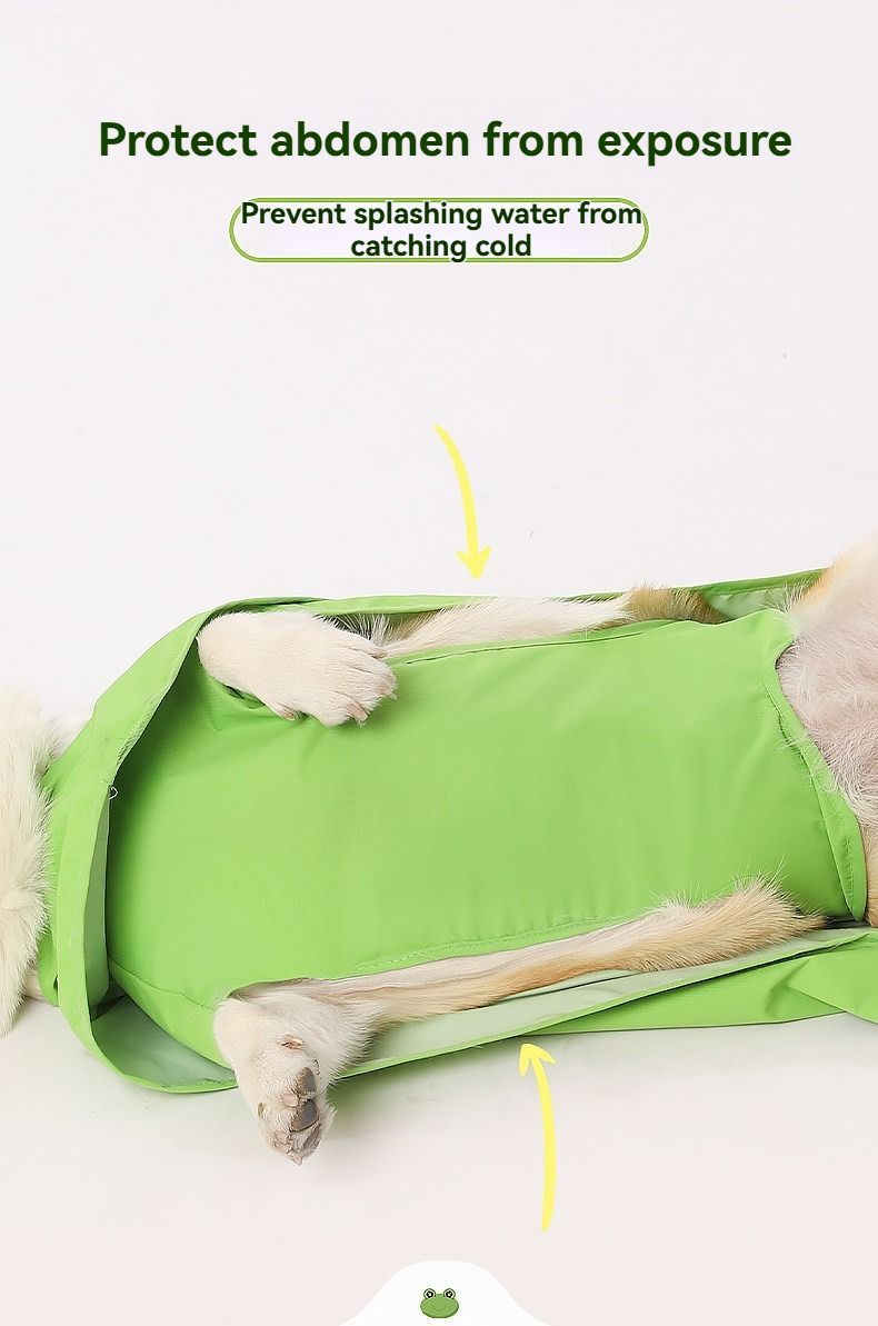 Dog Raincoat Shiba Inu Raincoat Corgi Raincoat Frog-Themed Dog Clothing - Green - Size L-15-17kg — image 4