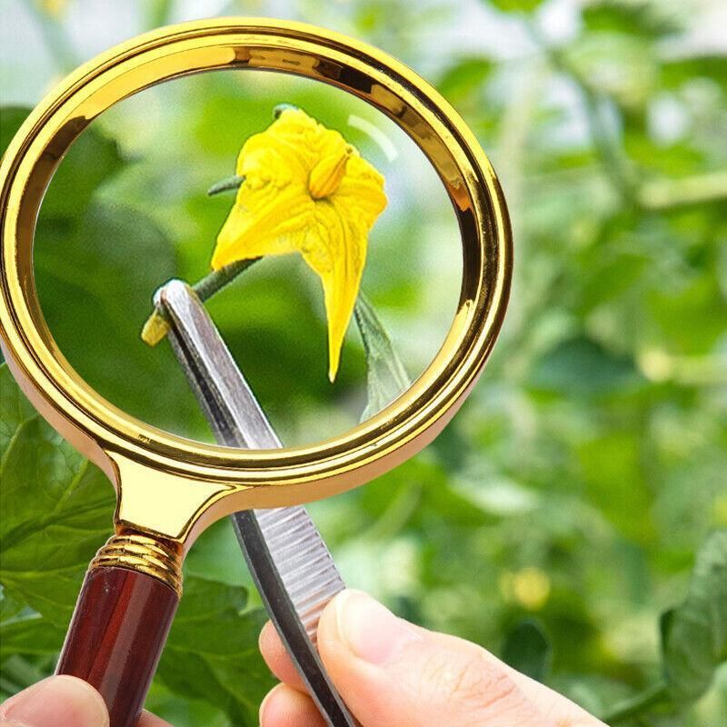 15X Handheld Magnifying Glass 60mm Optical Lens for Reading Jewelry Hobby — image 6