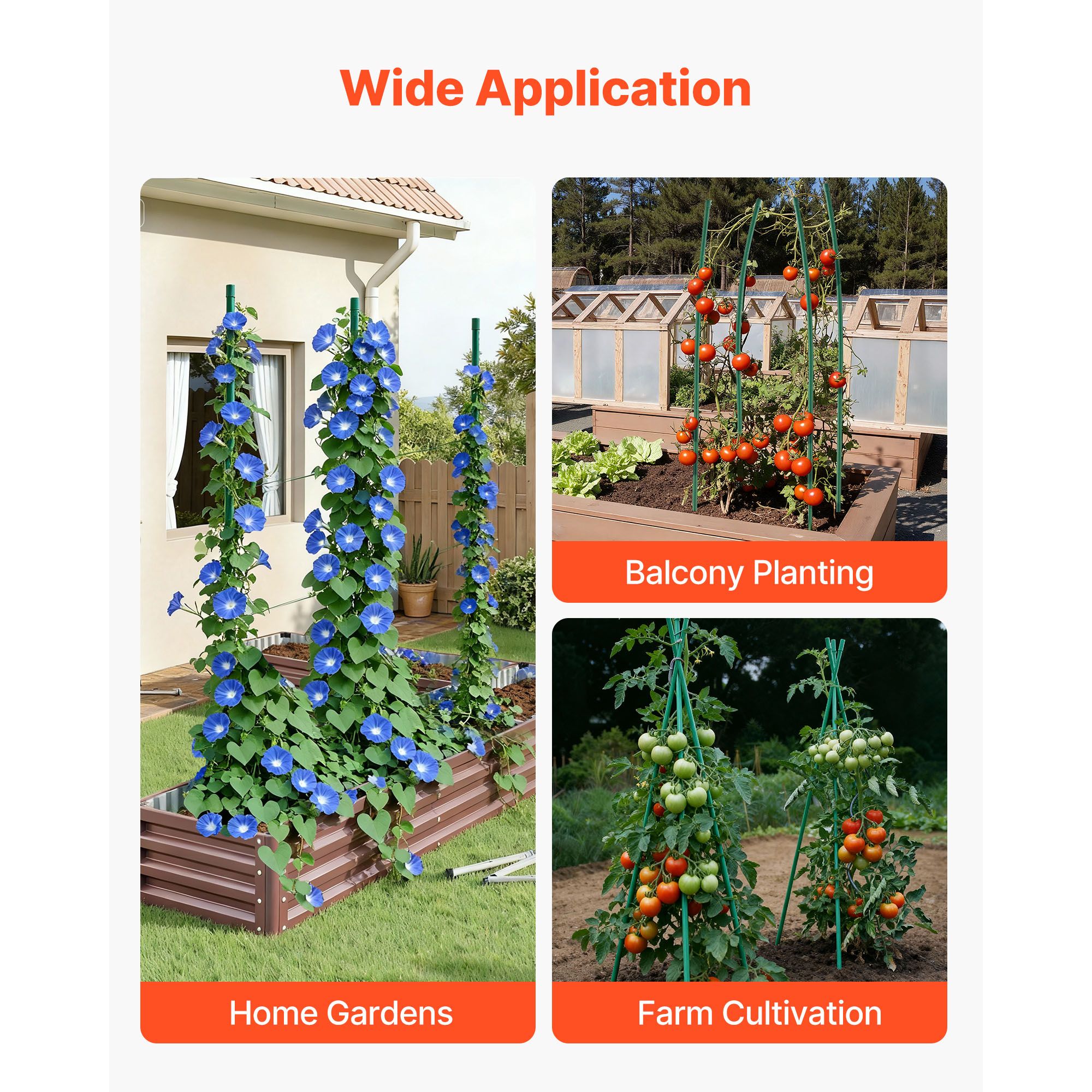 Garden Stakes, 50 Pack, 1800 mm, Plastic Coated Metal Tomato Stakes, Garden Sticks for Plants Support, with Pointed End and Non-Slip Bumps for Growing Climbing — image 6