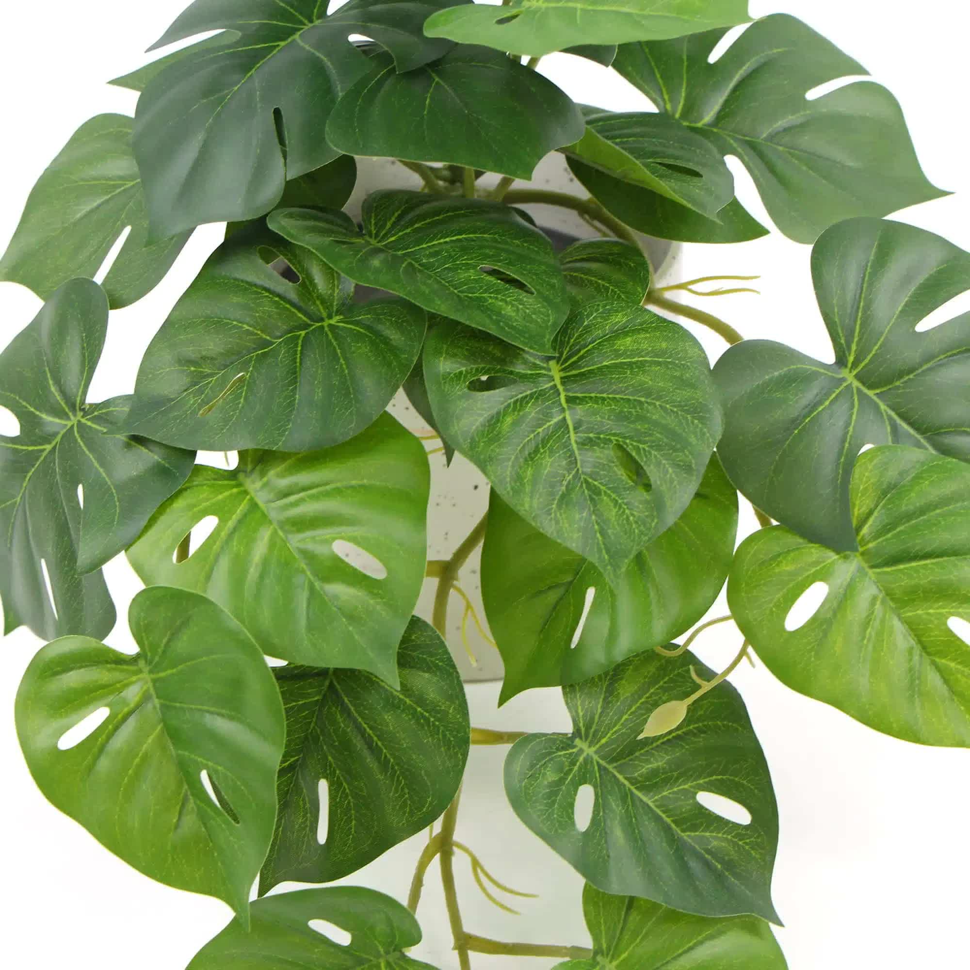 Decorative Artificial Monstera Adansonii Plant in Ceramic Bowl 30cm โ image 4