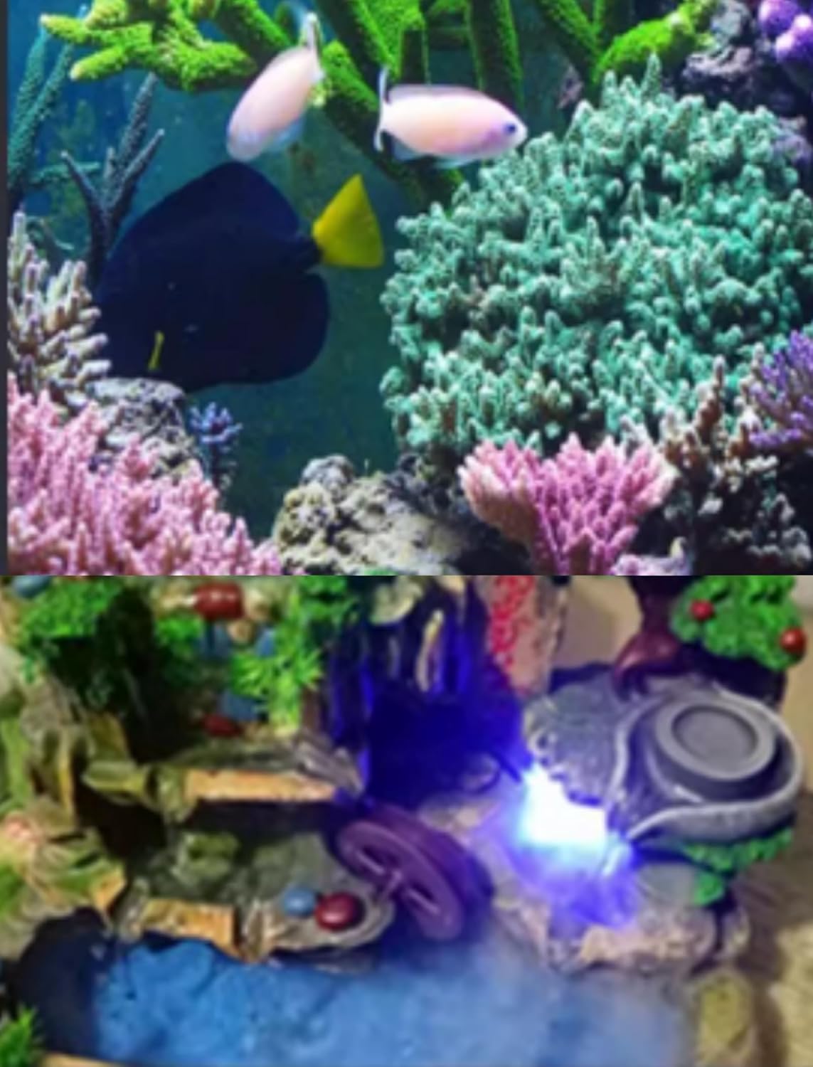 Water Fountain Pump, 2W Submersible Pump with 4 Colorful Lights for Rockery Fountain Pool Garden Pond Fish Aquarium Statuary(US Plug) Water Pumps โ image 3