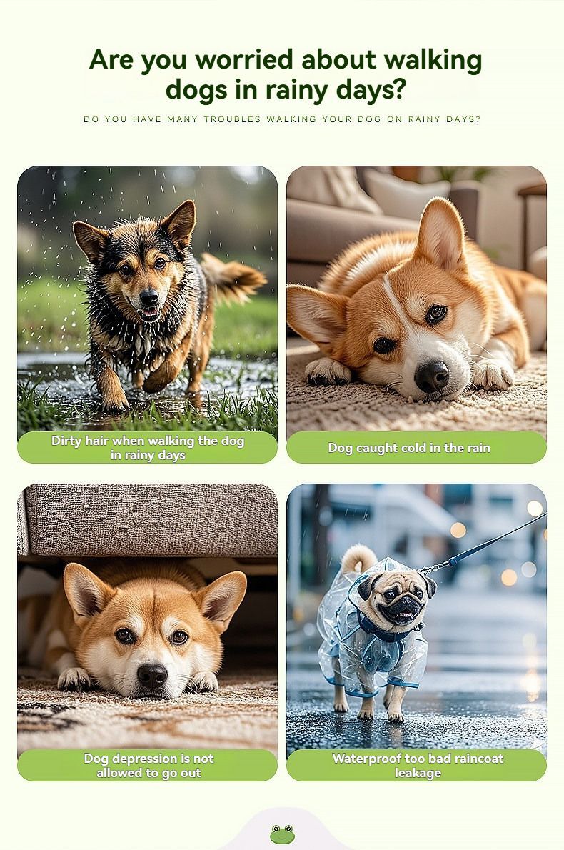 Dog Raincoat Shiba Inu Raincoat Corgi Raincoat Frog-Themed Dog Clothing - Green - Size S-7.5-12kg