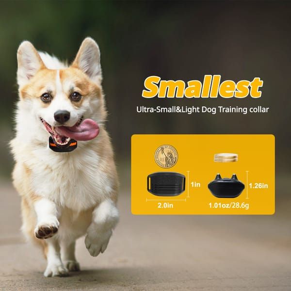 Black Dog Training Remote Control Collar