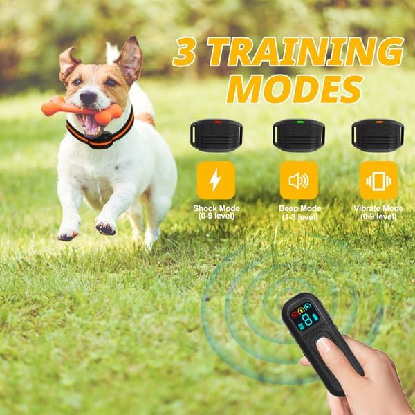Black Dog Training Remote Control Collar