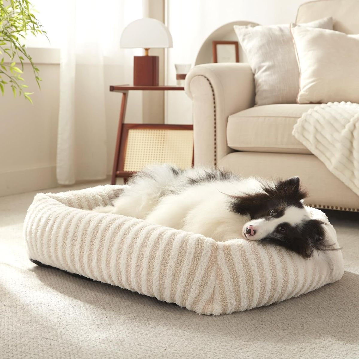Dog Bed Soft Dog Bed Rabbit Velvet Dog Bed Teddy Fabric Dog Bed Cozy Dog Bed - White - Size 20in*19in