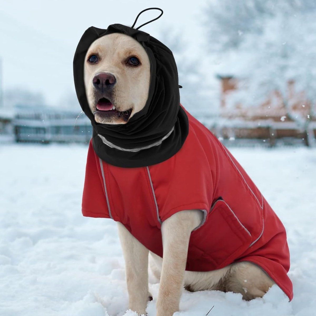 Dog Winter Earmuffs Calming Waterproof Snowproof Black, Size S, 30-44 cm