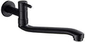 Wall-mounted cold water faucet for washing machine, mop, pool and garden, stainless steel material, Black Finish