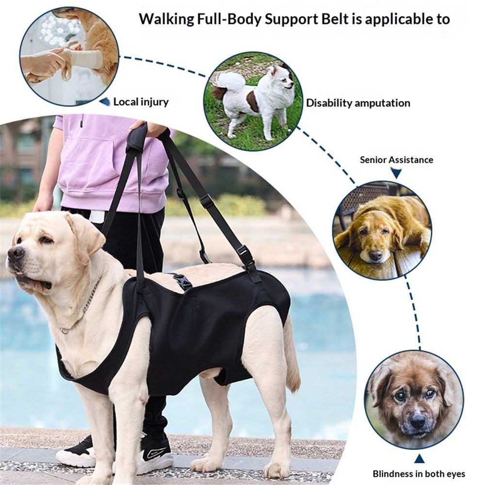 Full Body Lift Harness for Dogs,Canine Support Rehabilitation Dog Carrier Slings with Handles,Adjustable Lifting Straps Full Body Dog Lifting Harness (M)