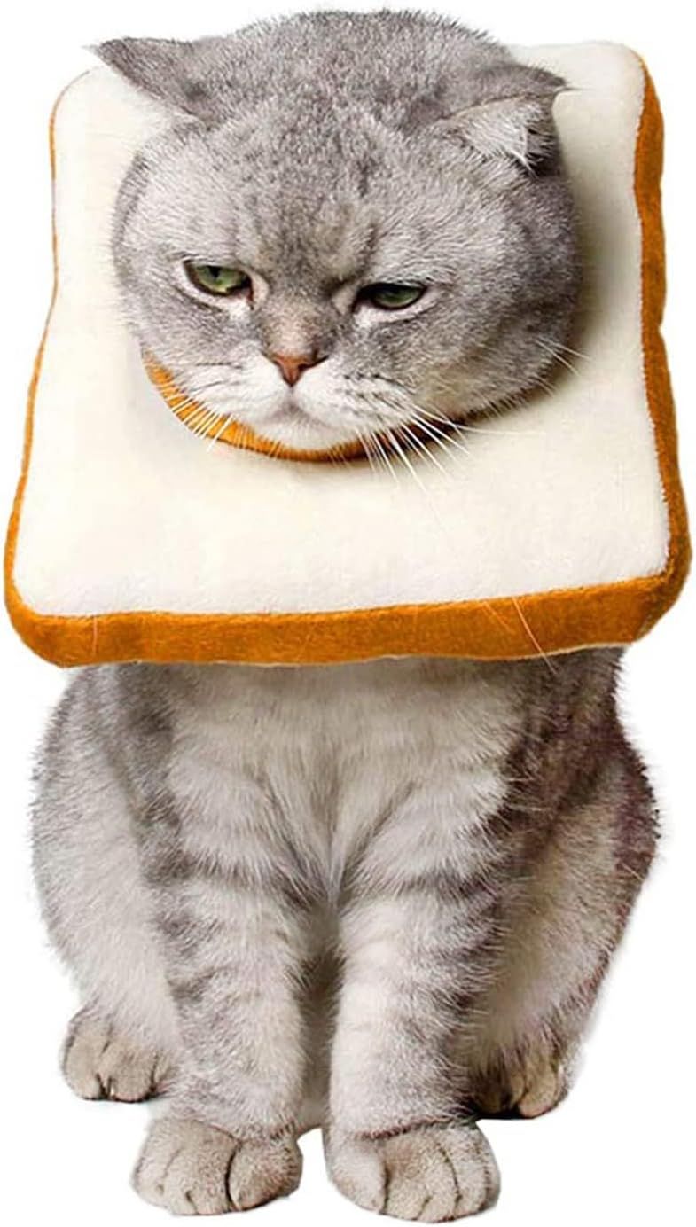 Adjustable Cat Cone Collar Soft, Cat Recovery Collar, After Surgery Neck Cone, Elizabethan Collar for Kitten-L