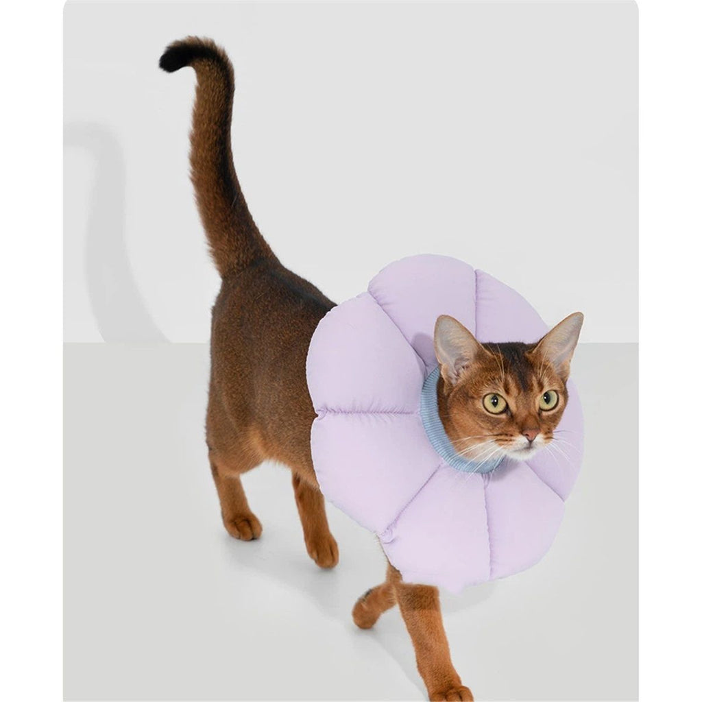 Cat Cone Collar,Cute Waterproof Cat Recovery Collar,Anti-Bite Lick Wound Healing Safety Elizabethan e Collar for Cats,Purple Flower All-Season Style…